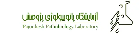 سایت جوابدهی آزمایشگاه پژوهش اکباتان