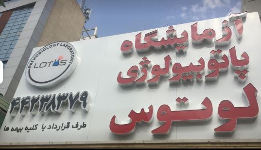 جوابدهی اینترنتی آزمایشگاه لوتوس