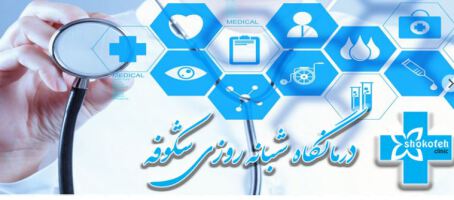 جوابدهی اینترنتی آزمایشگاه شکوفه